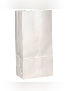 During 500 Count Plain White Paper Lunch Bags
